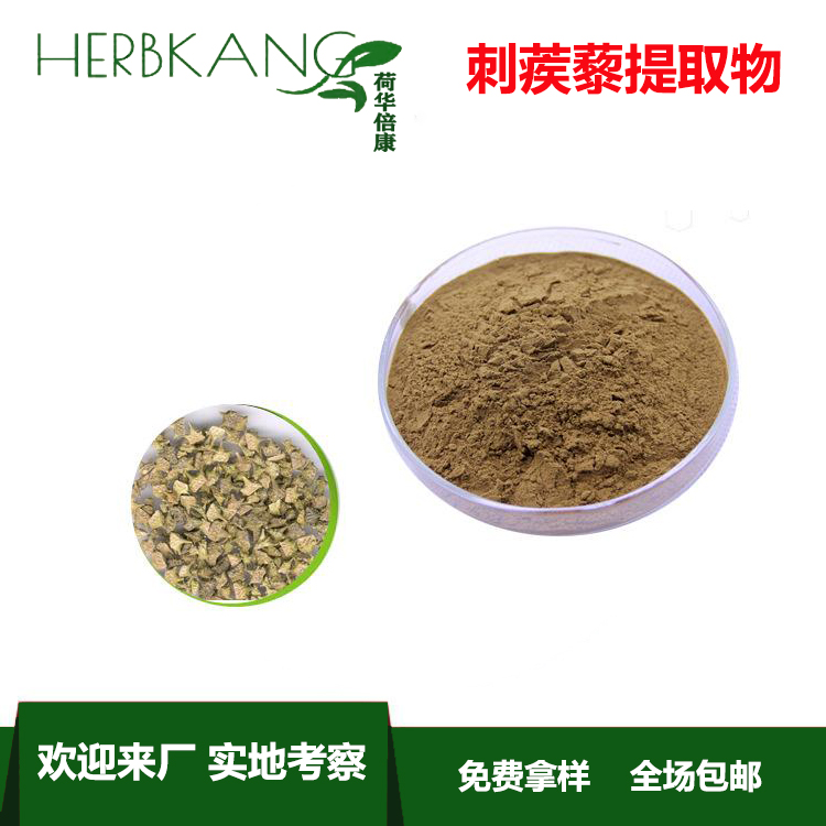 刺蒺藜提取物 - 陕西荷华倍康生物科技有限公司