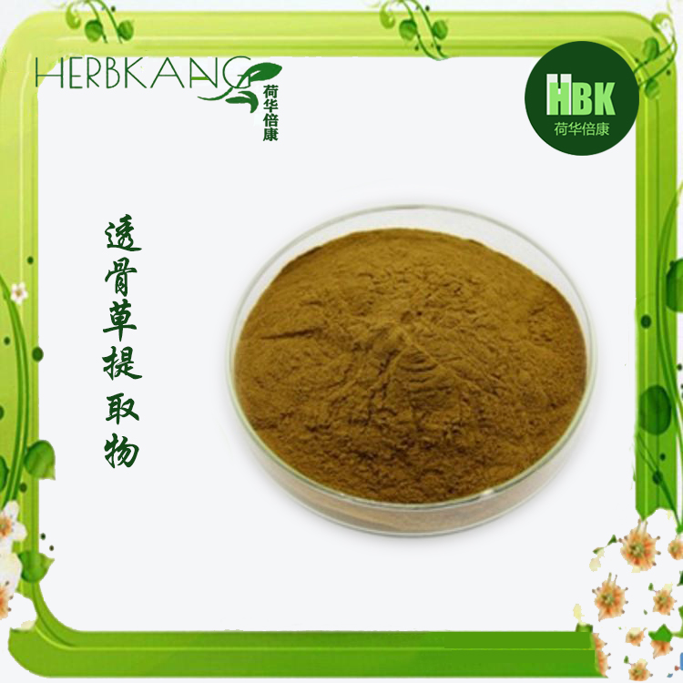 透骨草提取物 - 陕西荷华倍康生物科技有限公司